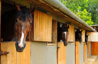 free Nessholt stable construction quotes